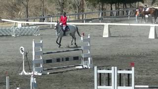 2017.3.12 第9回関東学生レースホースカップ馬術大会 レースホースカップ110cm Jump Off 大塚亮太朗 慶楼号