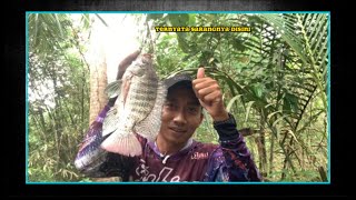 AIR DANGKAL❗❗TAPI IKANNYA BABON ll Kompilasi Video Mancing Pusanggala #pusanggala #mancing