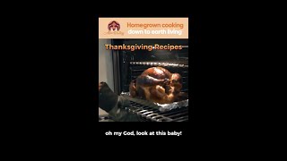 Thanksgiving Recipes 🦃🥧 Roast Turkey, Seafood Stuffing, Casserole, Brussel Sprouts, Cranberry Bites