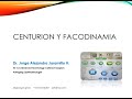 Centurion y facodinamia