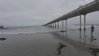 Ocean Beach Pier dive