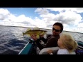 monster alberta northern pike whitefish lake