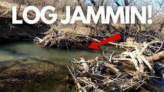 TENKARA FISHING A WOOLLY BUGGER FOR BIG BROWN TROUT!? | TENKARA FLY FISHING | Wisconsin Driftless