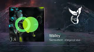 PREMIERE: Wailey  - Sensation (Original Mix) [Area Verde]