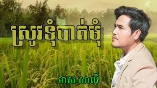 ស្រូវទុំបាត់មុំ - មាស សាលី