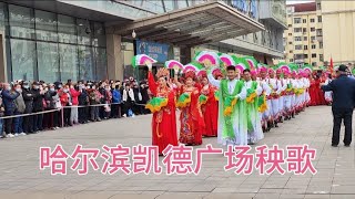 哈尔滨凯德广场秧歌汇演~中国东北老传统扭秧歌/二人转