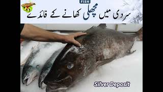 کیا روزانہ مچھلی🐟 کھانا صحت بخش ہے ؟ ھلی 🐋پکانے کا بہترین طریقہ کیا ہے؟...۔