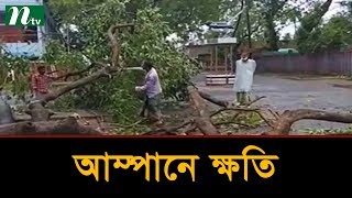 আম্পানের আঘাতে দেশের বিভিন্ন স্থানে ক্ষয়ক্ষতি