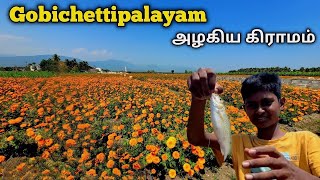 தமிழ்நாட்டின் அழகான கிராமம் | ஷூட்டிங் ஸ்பாட் #gobichettipalayam @saravananvlogs