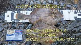 釣って楽しい！食べて美味しい！カワハギ釣り！！