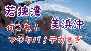 ９月９日若狭湾美浜沖、マジヤバイデカすぎの正体、前回バラした大物リベンジになったか？