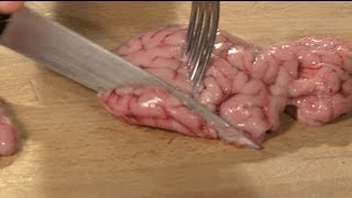 Raw Brain Taste Test