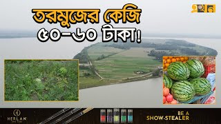 তরমুজে ছেয়ে গেছে  চরাঞ্চল,রেকর্ড উৎপাদনের আশা বরগুনায় | Watermelon | Agriculture News | Barguna