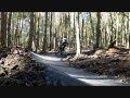 Templeton Tangle Edit Templeton Tangle Edit