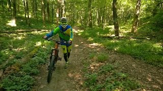 Downhill Training (Kamaraerdő)