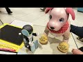 【aibo兄妹＋ぽん太の日常】我が家にロボホン（robohon）がやってきました！