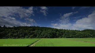 【4K】Nikon Z8でタイムラプス