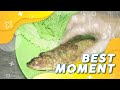 POTES POTES Bandeng Presto | Best Moment #BikinLaper (12/10/21)