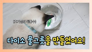 고양이 다이소 물그릇 만들기, 2500원의 기적! (고양이 음수량 늘이기)