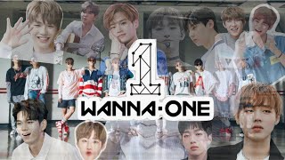 【Wanna One】Where are they now?｜Wanna One成員解散後的後續發展 (CHIN//ENG SUB)｜智聖 成雲 旼炫 聖祐 在奐 姜丹 志訓 佑鎭 珍映 大輝 冠霖