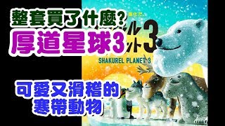 《絲絲TV》整套扭蛋買了什麼？可愛又滑稽的寒帶動物：厚道星球3