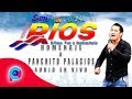 Son De Rios   Homenaje a Panchito Palacios En Vivo 2018