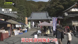 「静岡梅まつり」にぎわう 葵区の寺院で3日まで開催（静岡市）