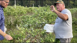 Upicktopia Live Remote with FOX 13's Good Day Tampa Bay - Behind the Scenes (2022)