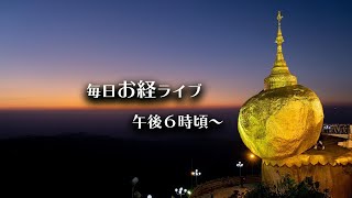 【疲れた心に癒しの時間を】 毎日 お経配信   244日目 浄土宗   / Every day Japanese buddhism chanting  for peace