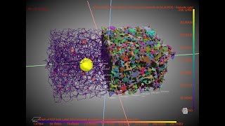 [Z Dragonfly Videos] Pore Morphology Visualization and Pore Size Distribution