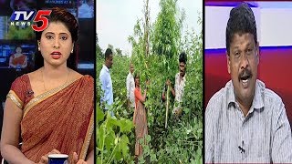 విశాఖ మన్యంలో మావోయిస్టుల గంజాయి సాగు..! | Special Discussion On Maoists Ganja Farming | TV5 News