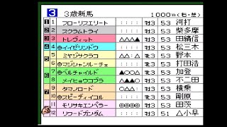 空手家おじさんが【SFC】ダービースタリオン3で全G1制覇を目指す#20