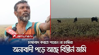 পাবনায় উর্বর জমি এখন গোচরণ ভূমি! কেন? | Pabna News | Jamuna TV