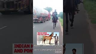 நாட்டு குதிரைகள் விழிப்புணர்வு பதிவு சான்றுடன் #horse #pony #awareness #video #Indianhorses