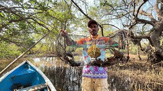 पिंजऱ्यात पकडले कांदळवनातील खेकडे | Crab Catching In Mangroves