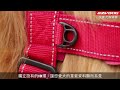 ezydog 快套式胸背帶 ezydog quick fit harness