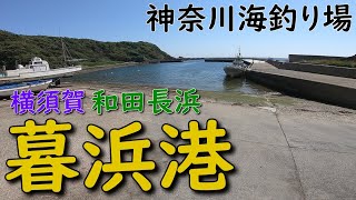 神奈川海釣り場 横須賀 長井 暮浜港 荒崎 和田長浜 サビキ釣り エギング アジング メバリング ショアジギング ルアー メジナ釣り クロダイ釣り MANCING MANIA JAPAN