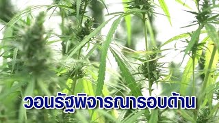 ผู้ประกอบการกัญชง-กัญชา นัดหารือด่วน หลังใน MOU นำกัญชากลับไปอยู่ในบัญชียาเสพติด