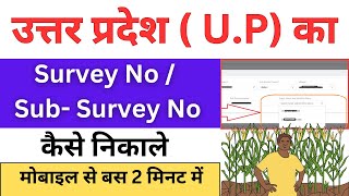 🔴U.P का Survey No / Suv-Servey No Kaise Nikale | Sub survey number kiase nikale | Kisan Card