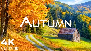 11 HOURS of 4K Enchanting Autumn Nature Scenes + Relaxing Piano Music for Stress Relief