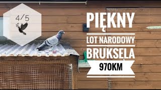 VLOG146 🎥 Lot narodowy Bruksela 970km 💪🔥 + 3-setka oddziałowa 🕊️ 30. 06. 2024