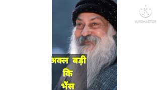 अक्ल बड़ी कि भैंस   #osho #thought