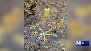 Boating season canceled in some Quabbin Reservoir ponds