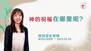 神的祝福在哪里呢？｜每日 - 20230328