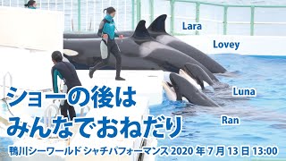 ショーの後は　みんなでおねだり【2020年7月13日13:00　鴨川シーワールド　シャチパフォーマンス】Killer whale performance, Kamogawa Sea World