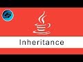 Inheritance - Java Programming