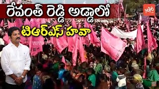 TRS Craze In Revanth Reddy Kodangal Constituency | Telangana Congress | KTR | CM KCR | YOYO TV