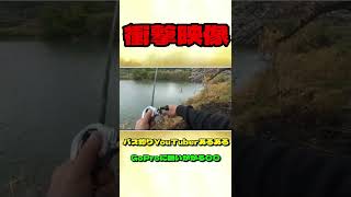 【バス釣りあるある】GoProに襲いかかる〇〇#Shorts ＃衝撃映像 #バスです