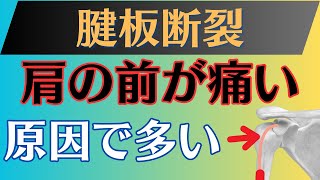 【合併すると痛い】腱板断裂　上腕二頭筋長頭腱と効果的なリハビリ