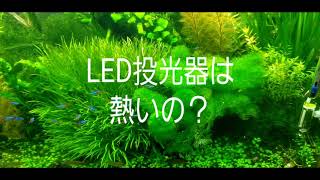 水草水槽に使ってる激安LED投光器の使用に関してのお話し。